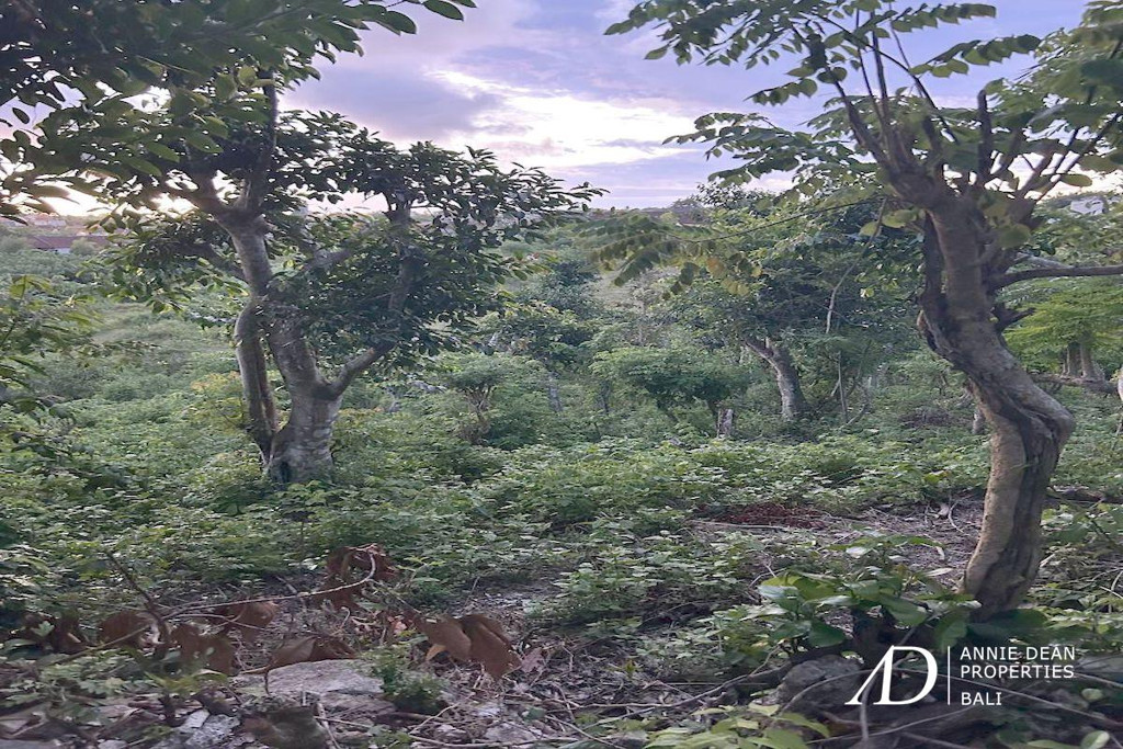 FREEHOLD | LAND FOR SALE A PRIME AREA UNGASAN