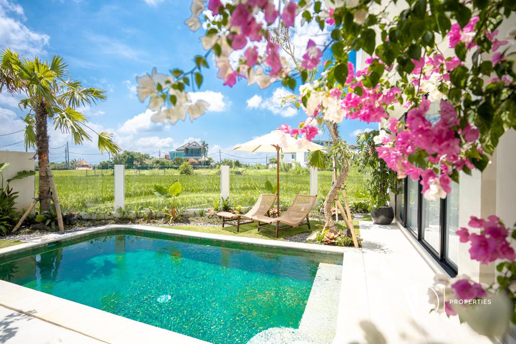 FREEHOLD | 2-BEDROOM VILLA WITH RICE FIELD VIEWS - CEMAGI