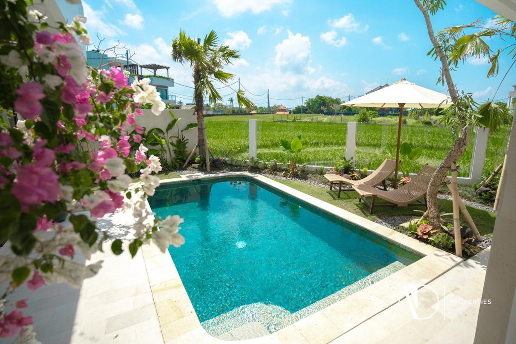 FREEHOLD | 2-BEDROOM VILLA WITH RICE FIELD VIEWS - CEMAGI