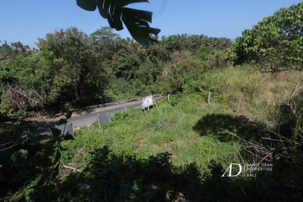  FREEHOLD LAND IN TEGENUNGAN SUKAWATI OF UBUD 28,75 ARE