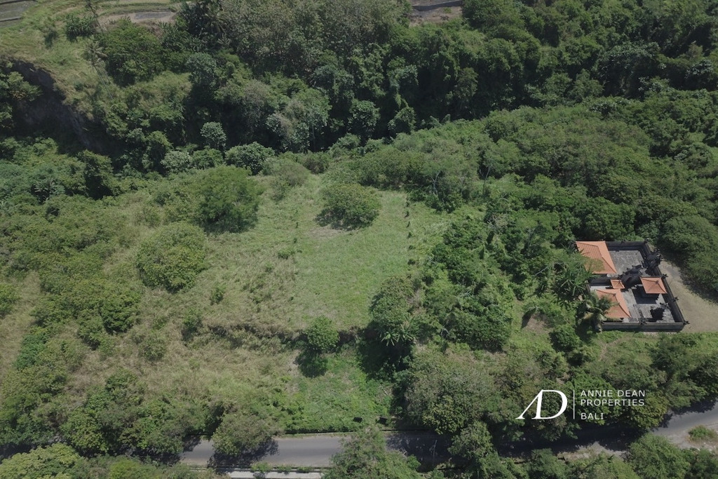  FREEHOLD LAND IN TEGENUNGAN SUKAWATI OF UBUD 28,75 ARE