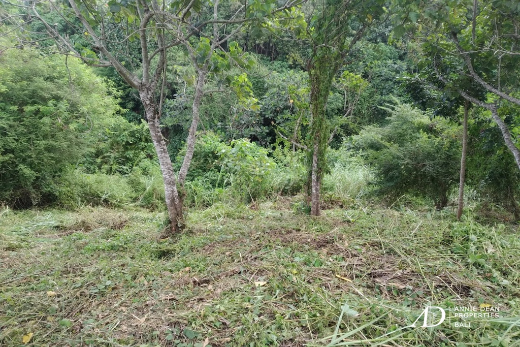  FREEHOLD LAND IN TEGENUNGAN SUKAWATI OF UBUD 28,75 ARE