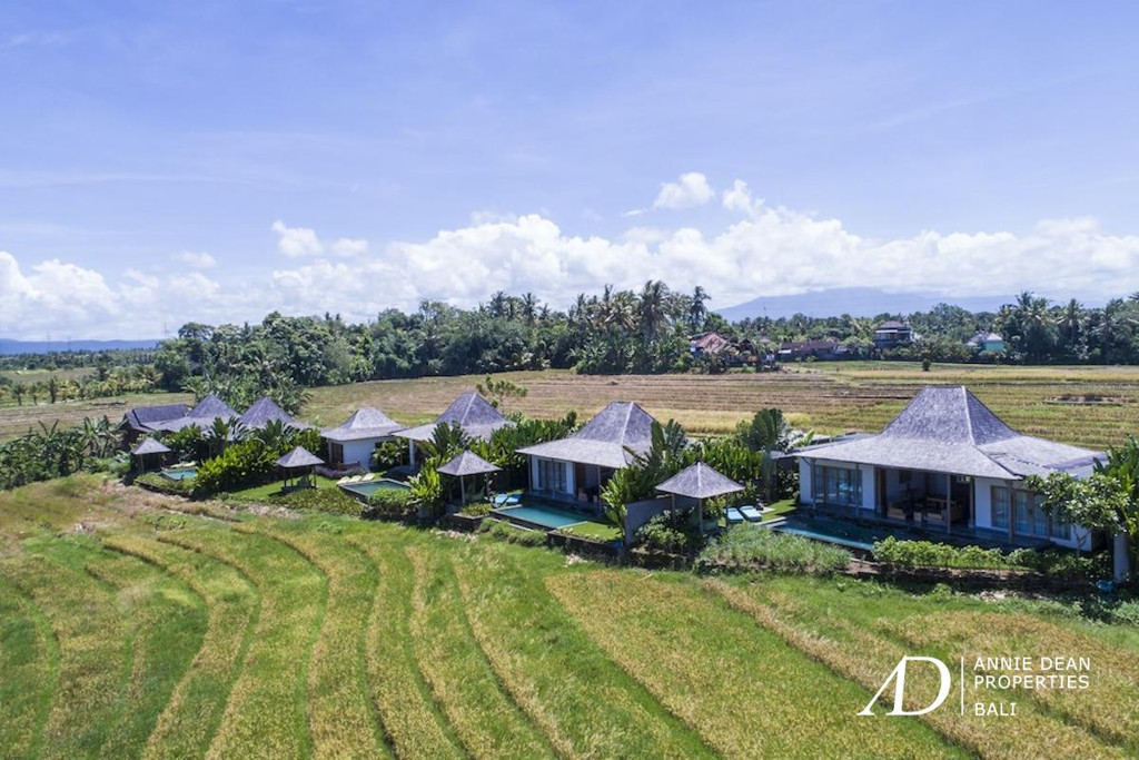 FREEHOLD LUXURY BOUTIQUE ESTATE IN TABANAN, BALI