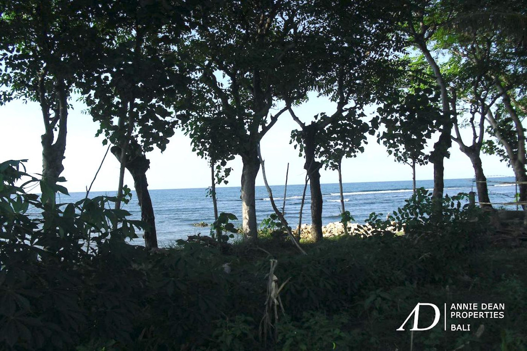 FREEHOLD BEACH FRONT LAND IN SINGARAJA ( 5,64 HA ) 