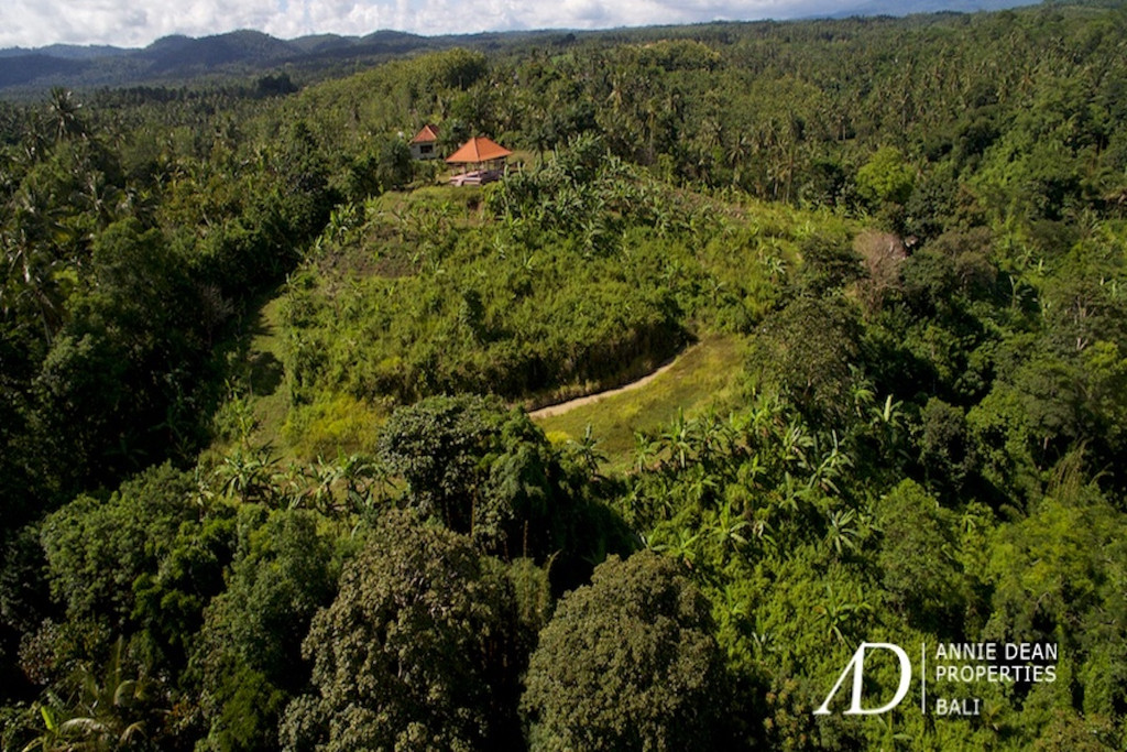 FREEHOLD LAND INVESTMENT IN ANTOSORI SELEMADEG TABANAN 