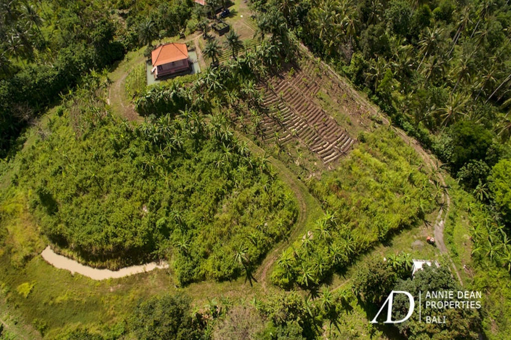 FREEHOLD LAND INVESTMENT IN ANTOSORI SELEMADEG TABANAN 