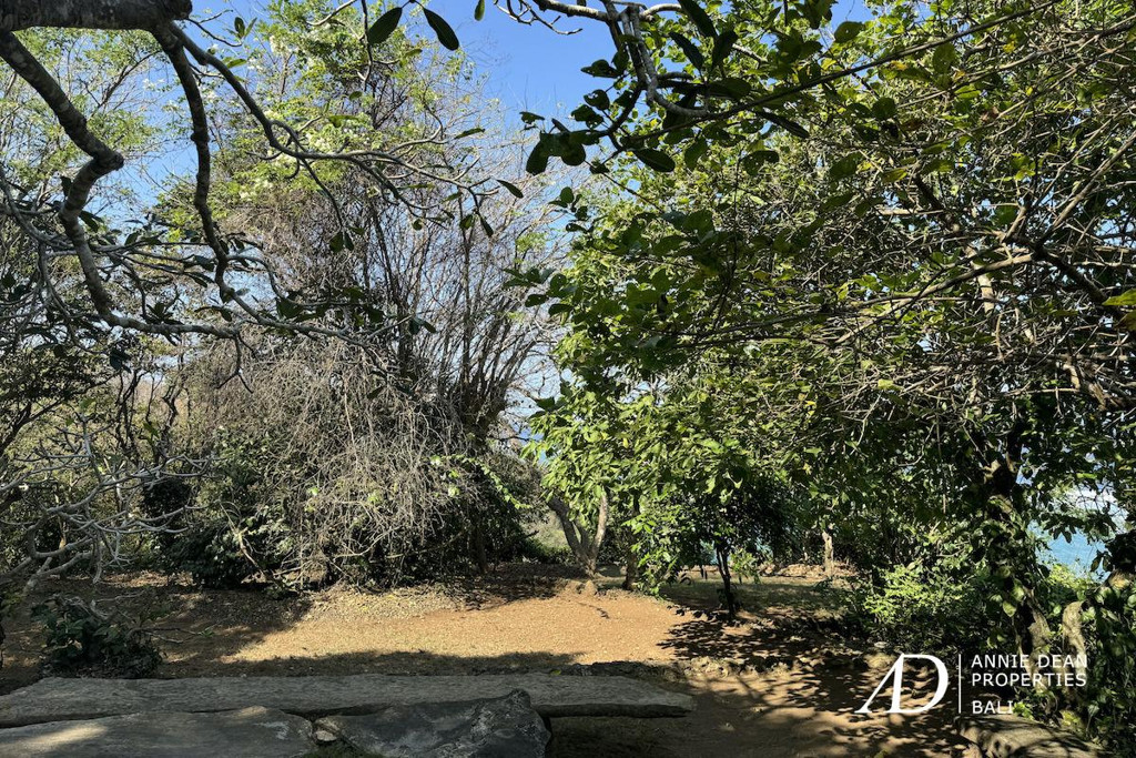 FREEHOLD  STUNNING OCEAN VIEWS LAND IN UNGASAN  ( 147 ARE ) 