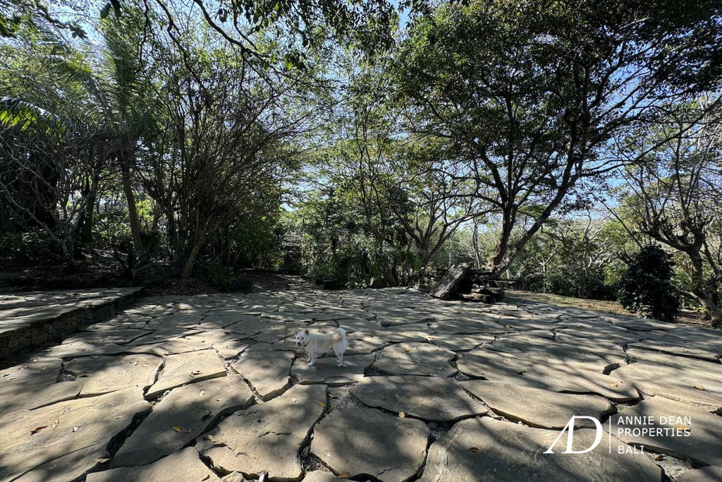 FREEHOLD  STUNNING OCEAN VIEWS LAND IN UNGASAN  ( 147 ARE ) 