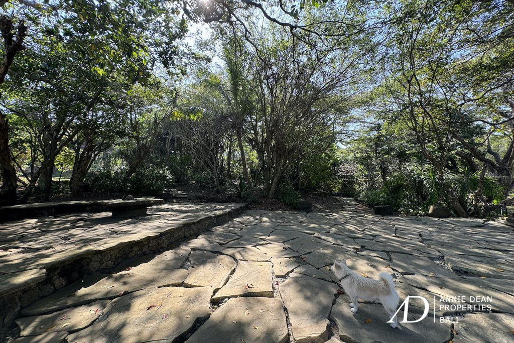 FREEHOLD  STUNNING OCEAN VIEWS LAND IN UNGASAN  ( 147 ARE ) 