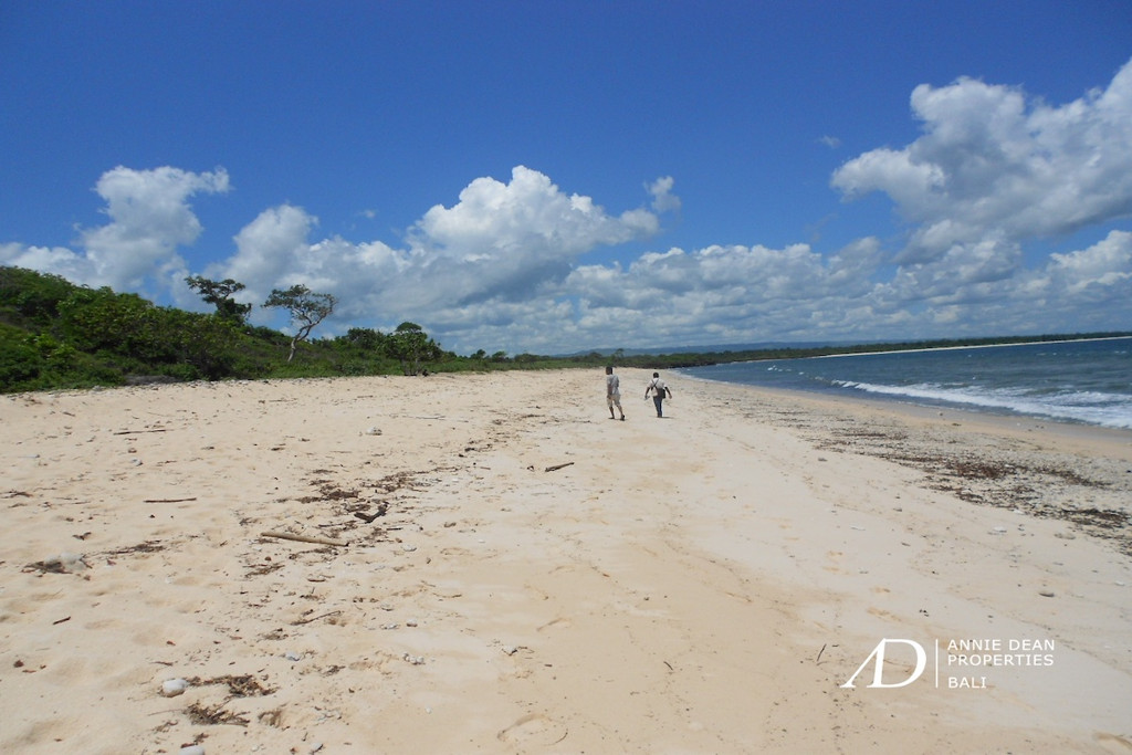 FREEHOLD  STUNNING WHITE BEACHFRONT LAND IN SUMBA