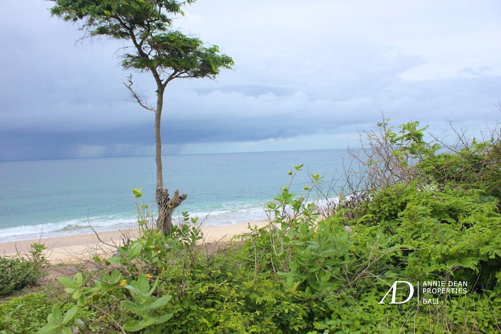 FREEHOLD  STUNNING WHITE BEACHFRONT LAND IN SUMBA