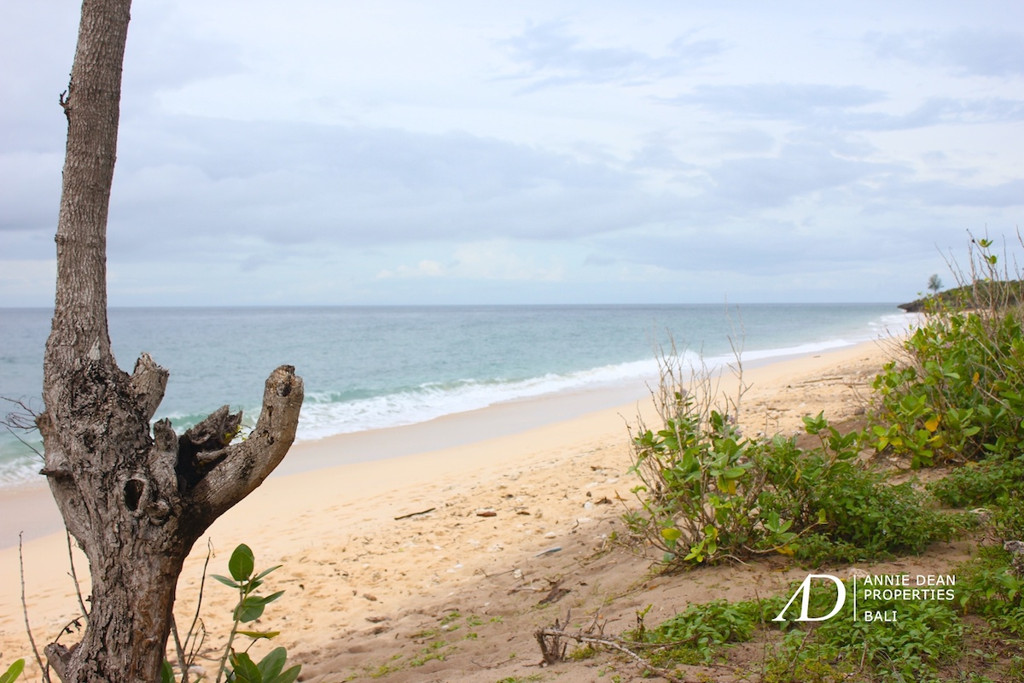 FREEHOLD  STUNNING WHITE BEACHFRONT LAND IN SUMBA