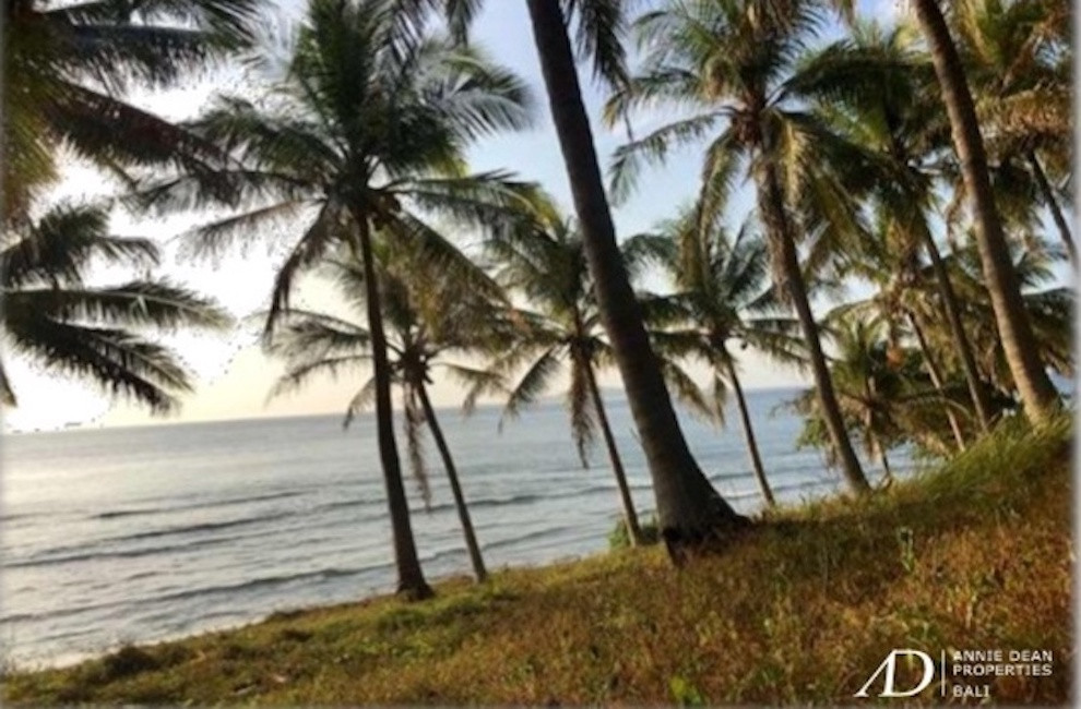 FREEHOLD HILLSIDE AND BEACHFRONT LAND IN NIPAH LOMBOK ISLAND