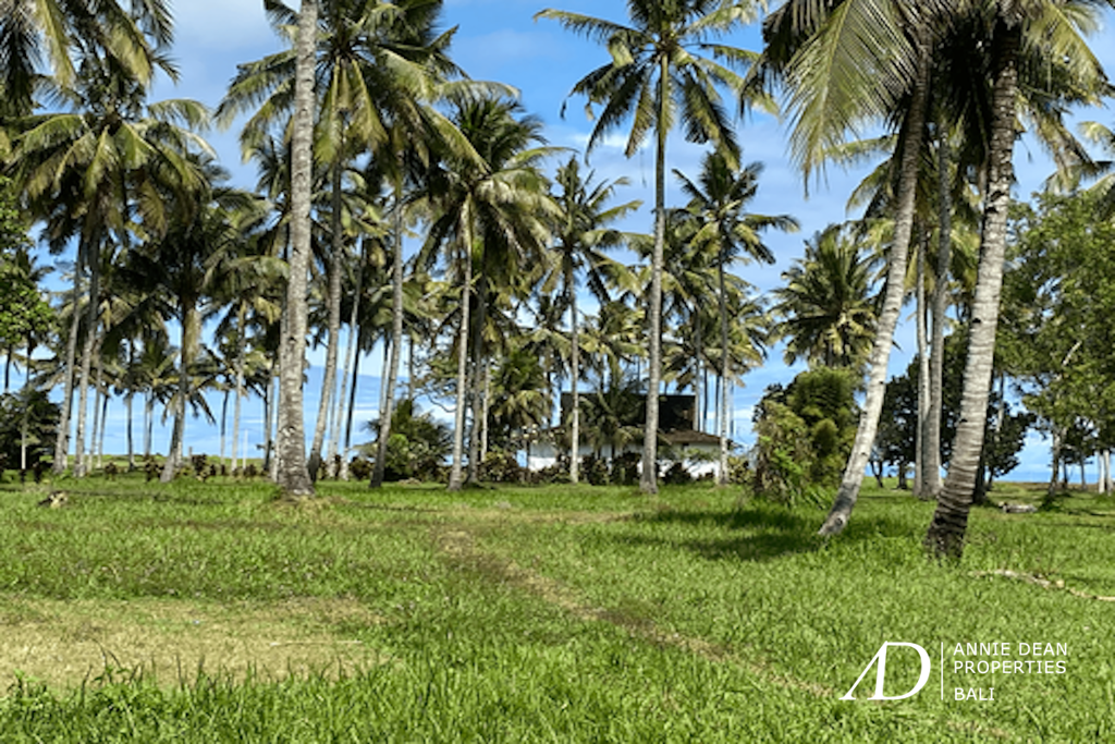 FREEHOLD INVESTMENT OPPORTUNITY 7.23HA LAND IN MEDEWI