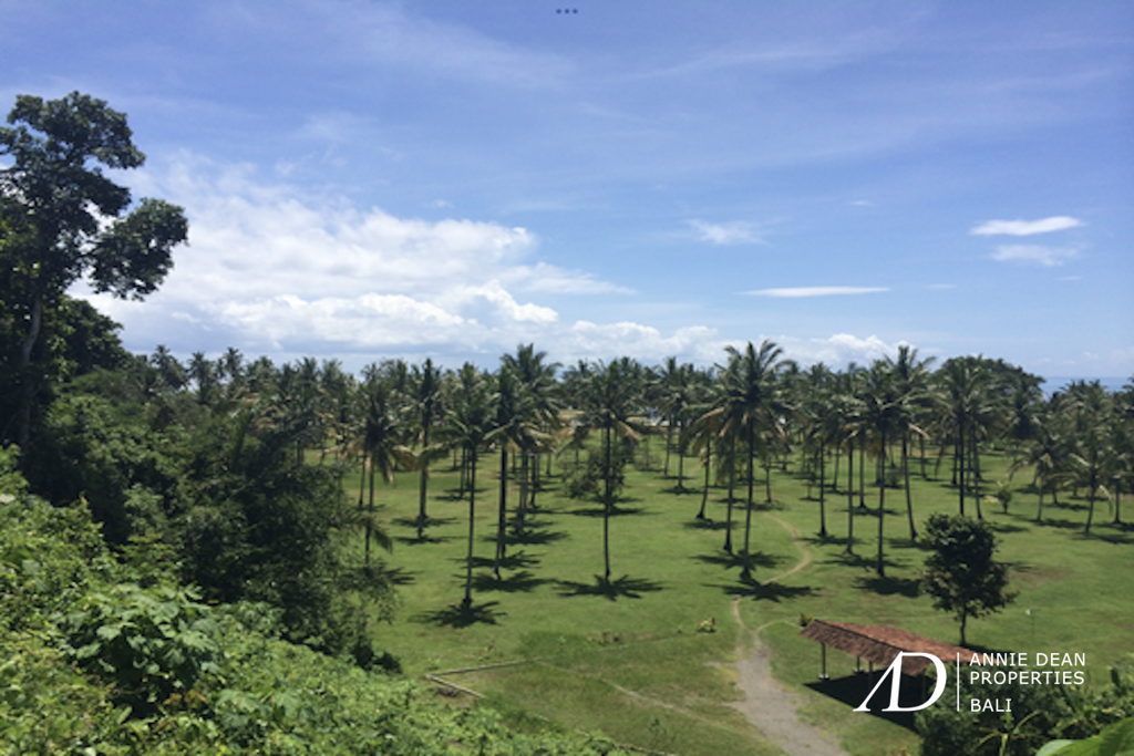 FREEHOLD INVESTMENT OPPORTUNITY 7.23HA LAND IN MEDEWI