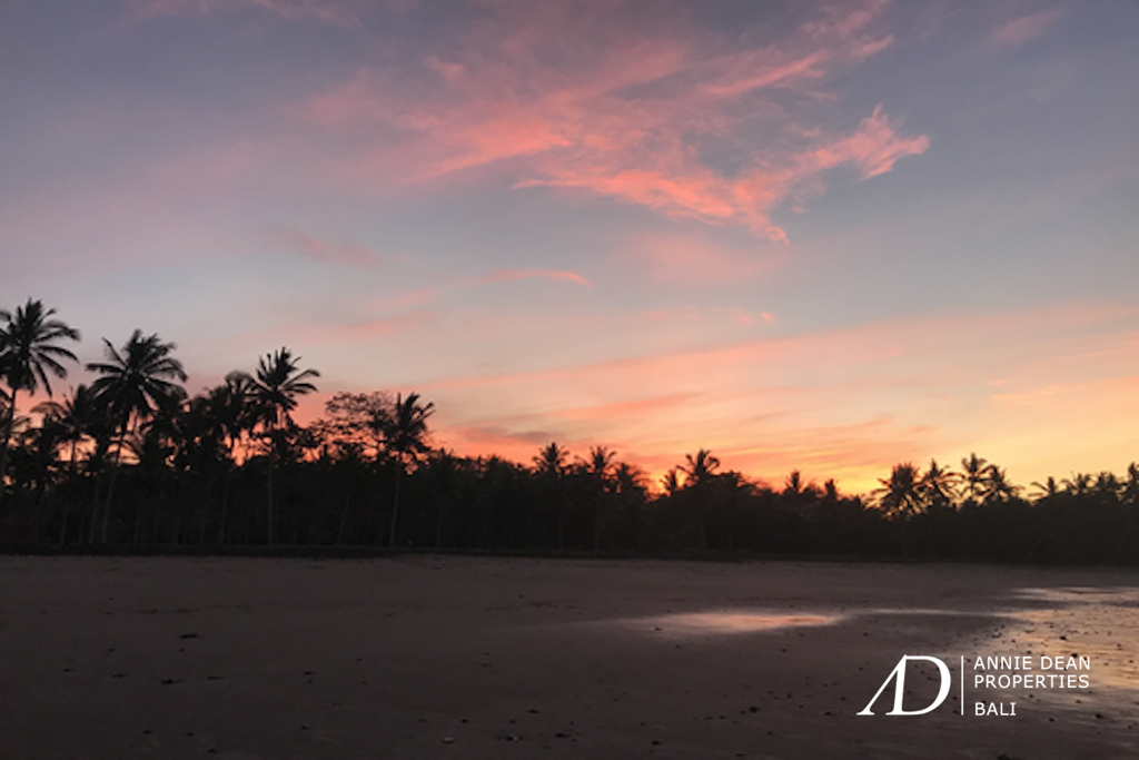 FREEHOLD INVESTMENT OPPORTUNITY 7.23HA LAND IN MEDEWI