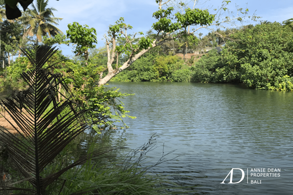 FREEHOLD INVESTMENT OPPORTUNITY 7.23HA LAND IN MEDEWI