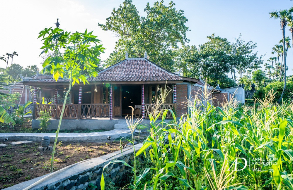 FREEHOLD TRADITIONAL COMPLEX BUNGALOWS IN AMED