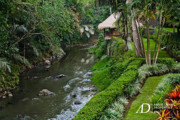 FREEHOLD | STUNNING 6-BEDROOM ESTATE SET BY A PENET RIVERSIDE JUNGLE SANCTUARY