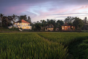 FREEHOLD | COLONIAL-STYLE VILLA WITH JUNGLE AND RICE FIELD VIEWS - UBUD TEGALLALANG