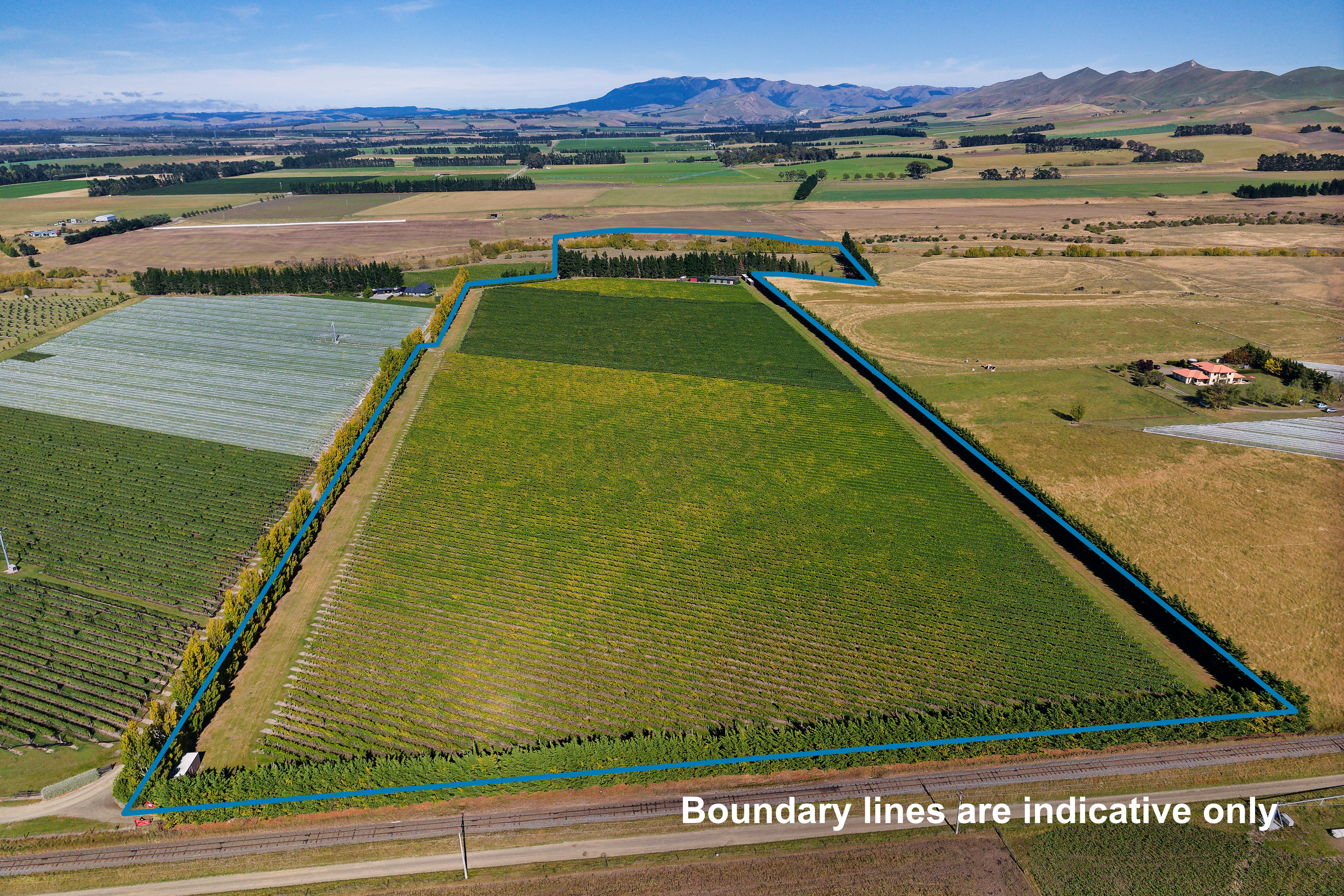 Rural in Waipara