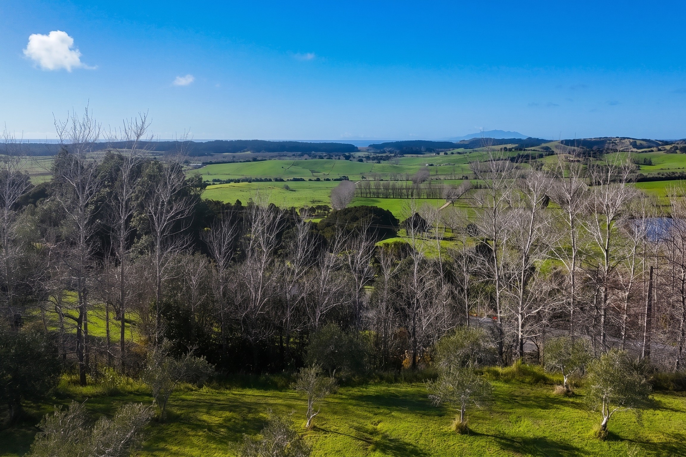 1499 Mangawhai Road, MANGAWHAI