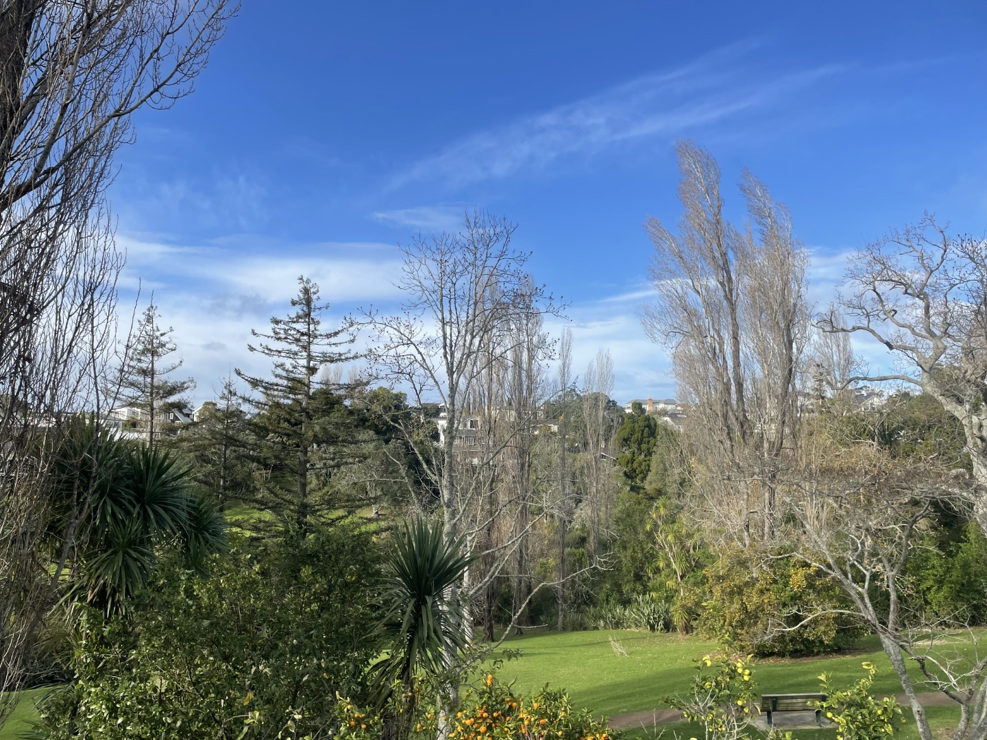 17B Chatfield Place, Remuera