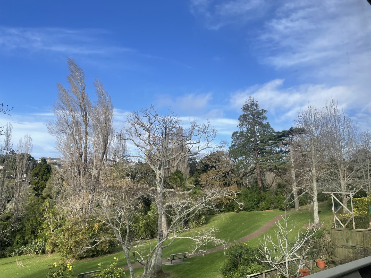 17B Chatfield Place, Remuera