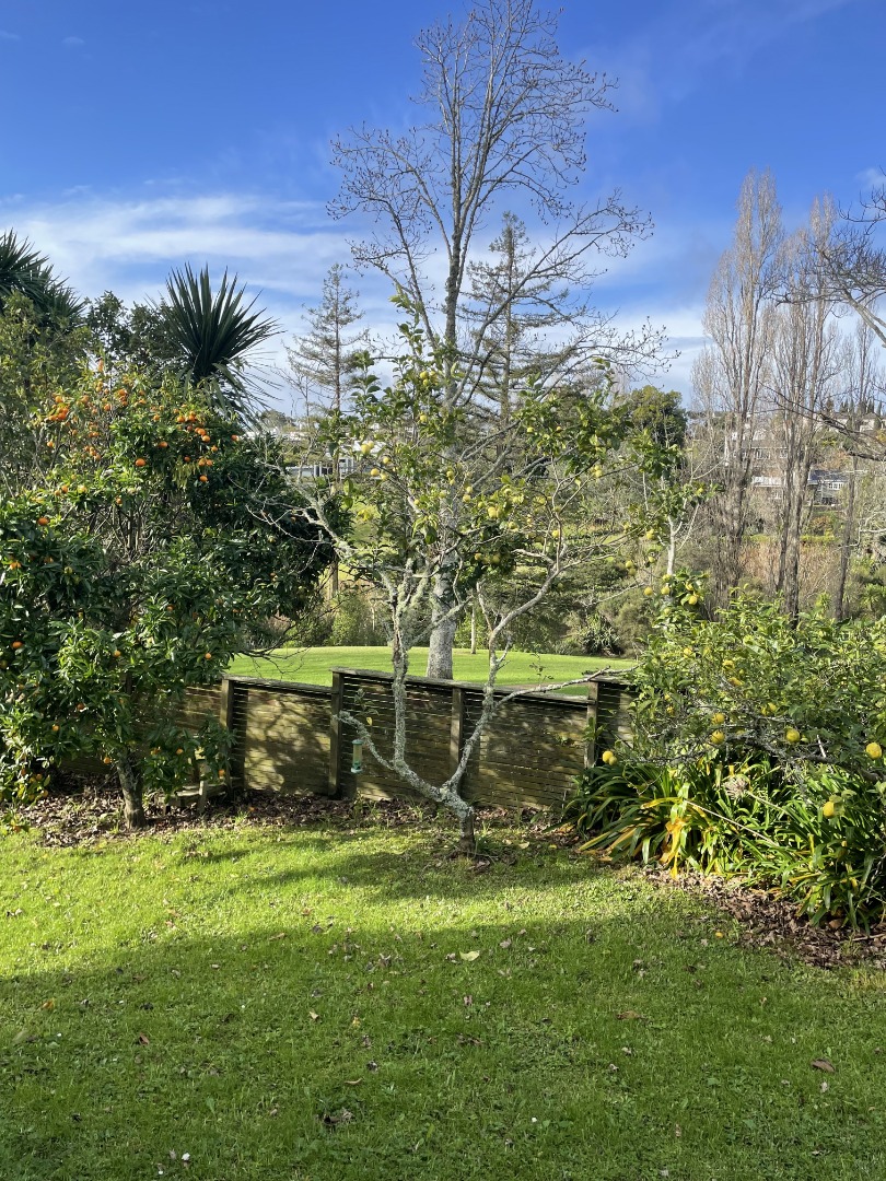 17B Chatfield Place, Remuera