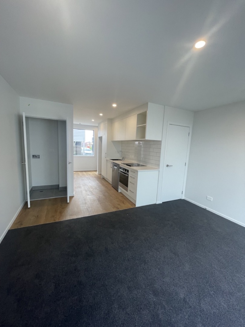 3/3234 Great North Rd New Lynn_1