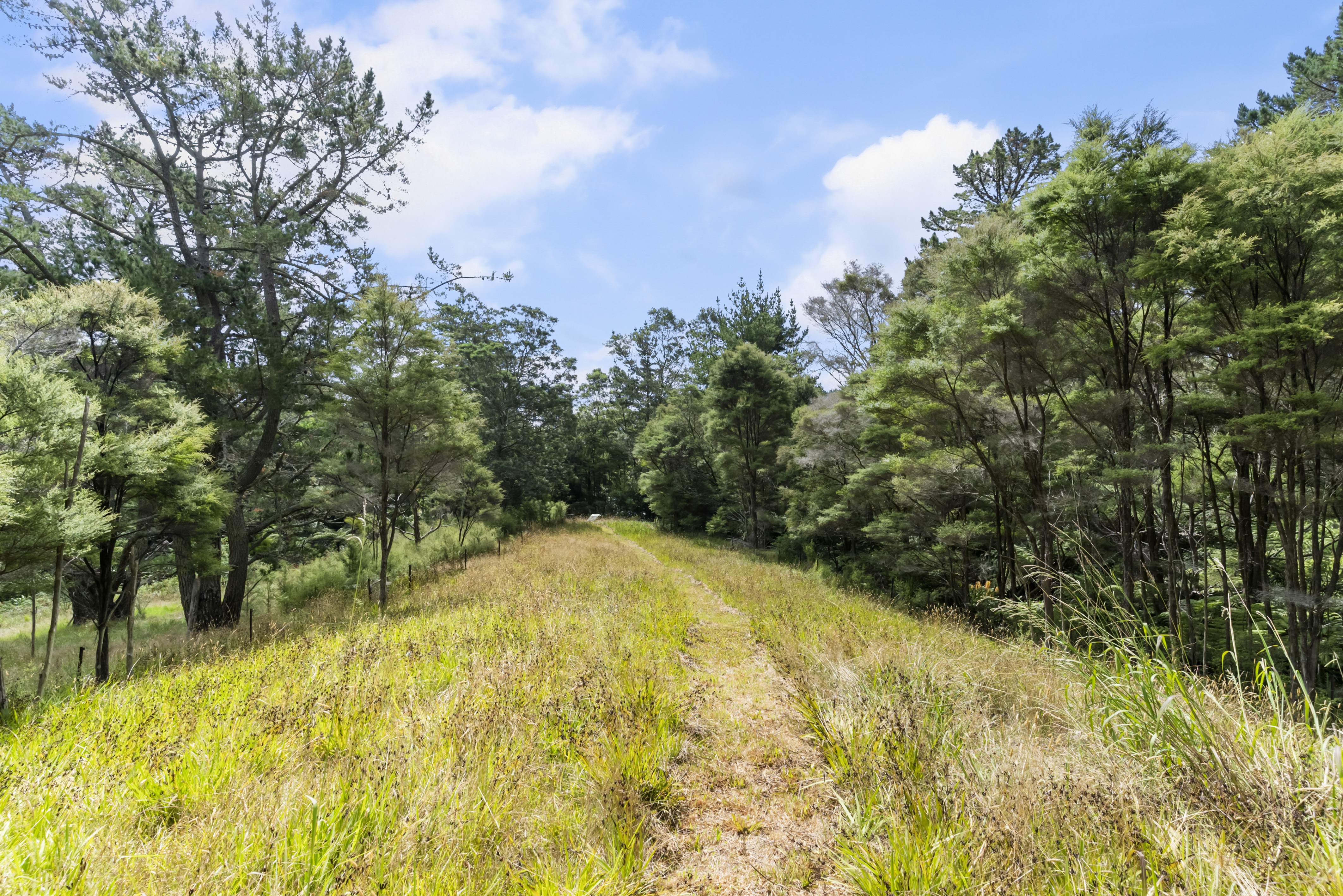 126 Candia Road, Henderson Valley