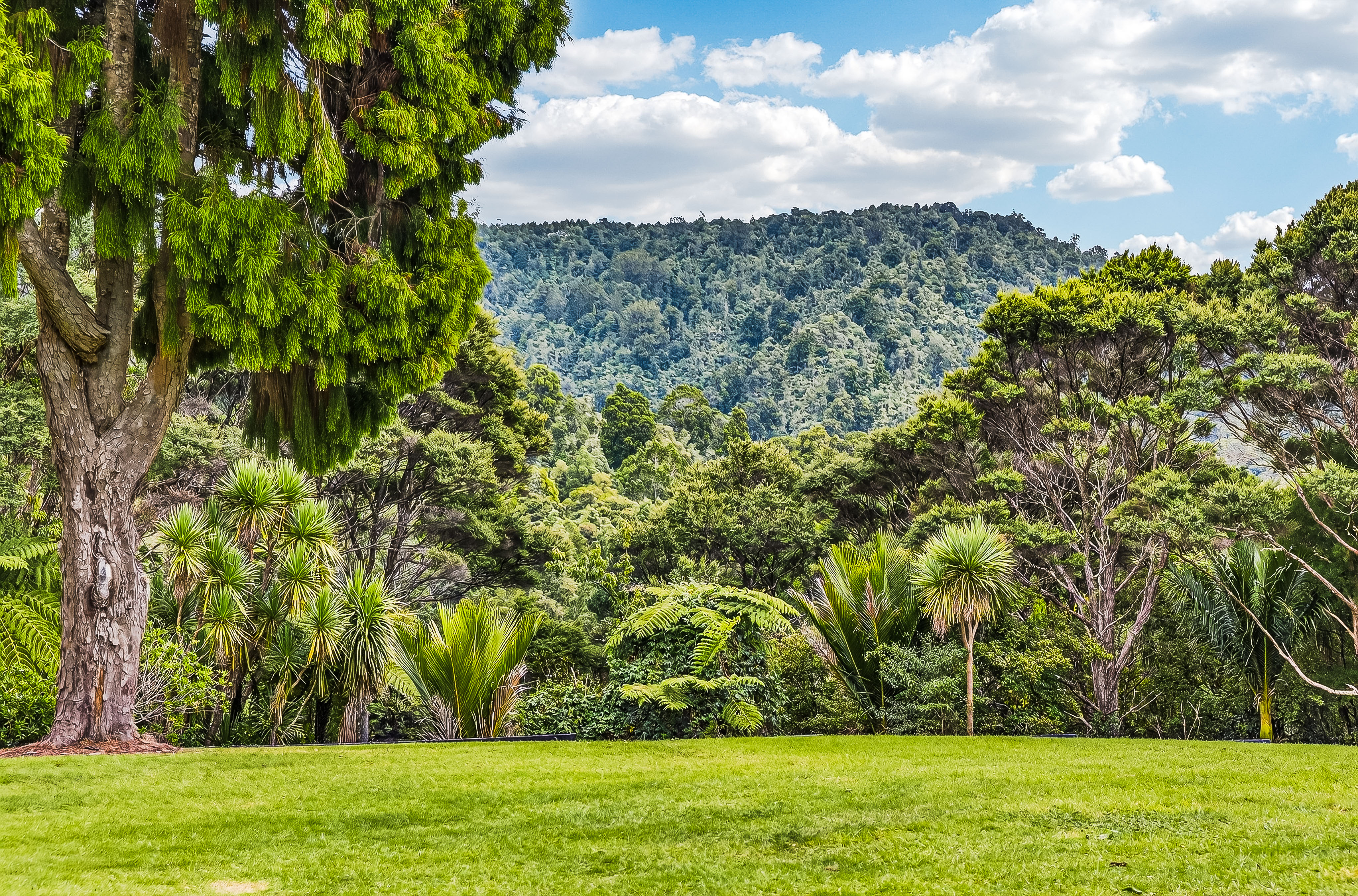 6 Walker Road, Henderson Valley