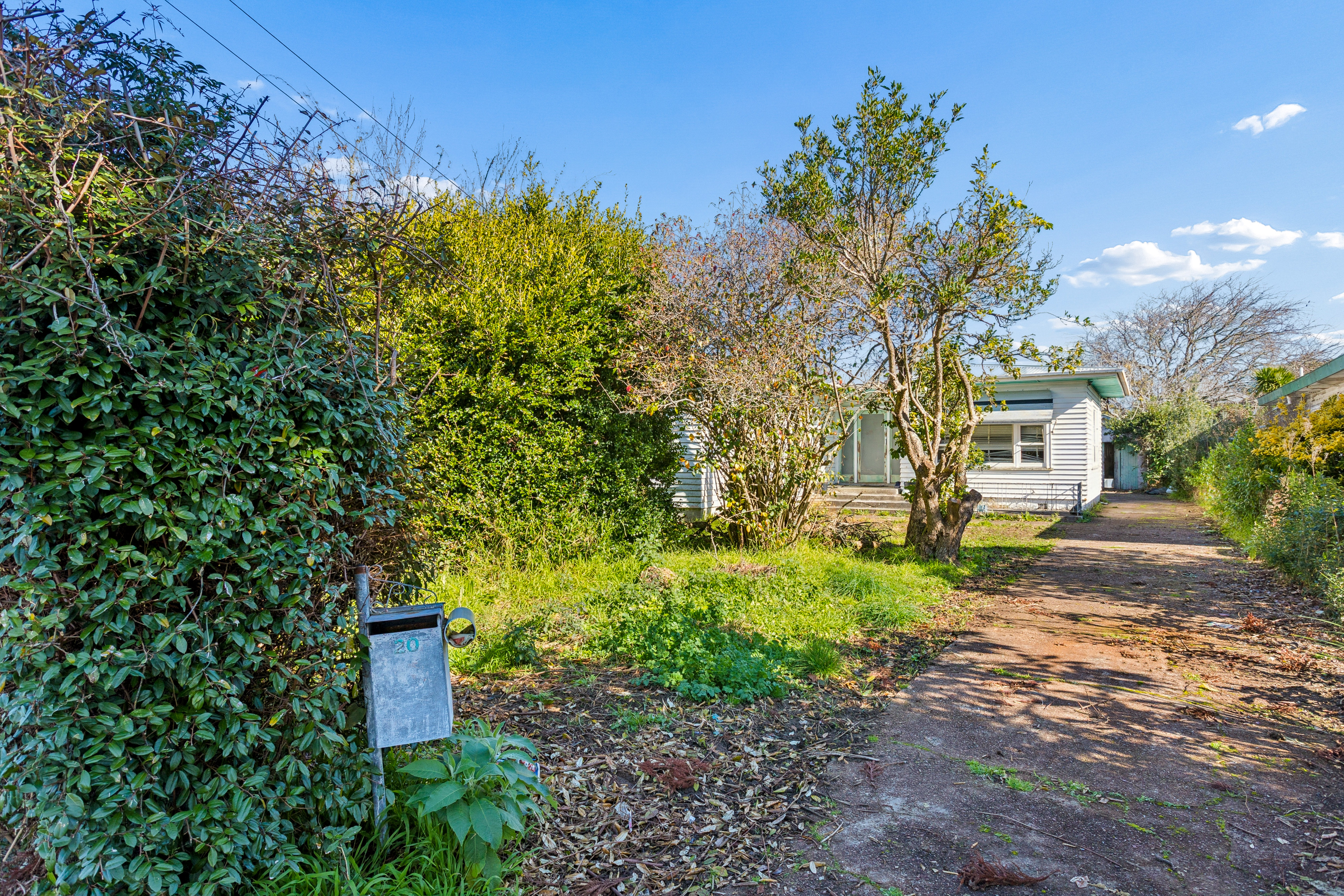 20 Holly Street, Avondale