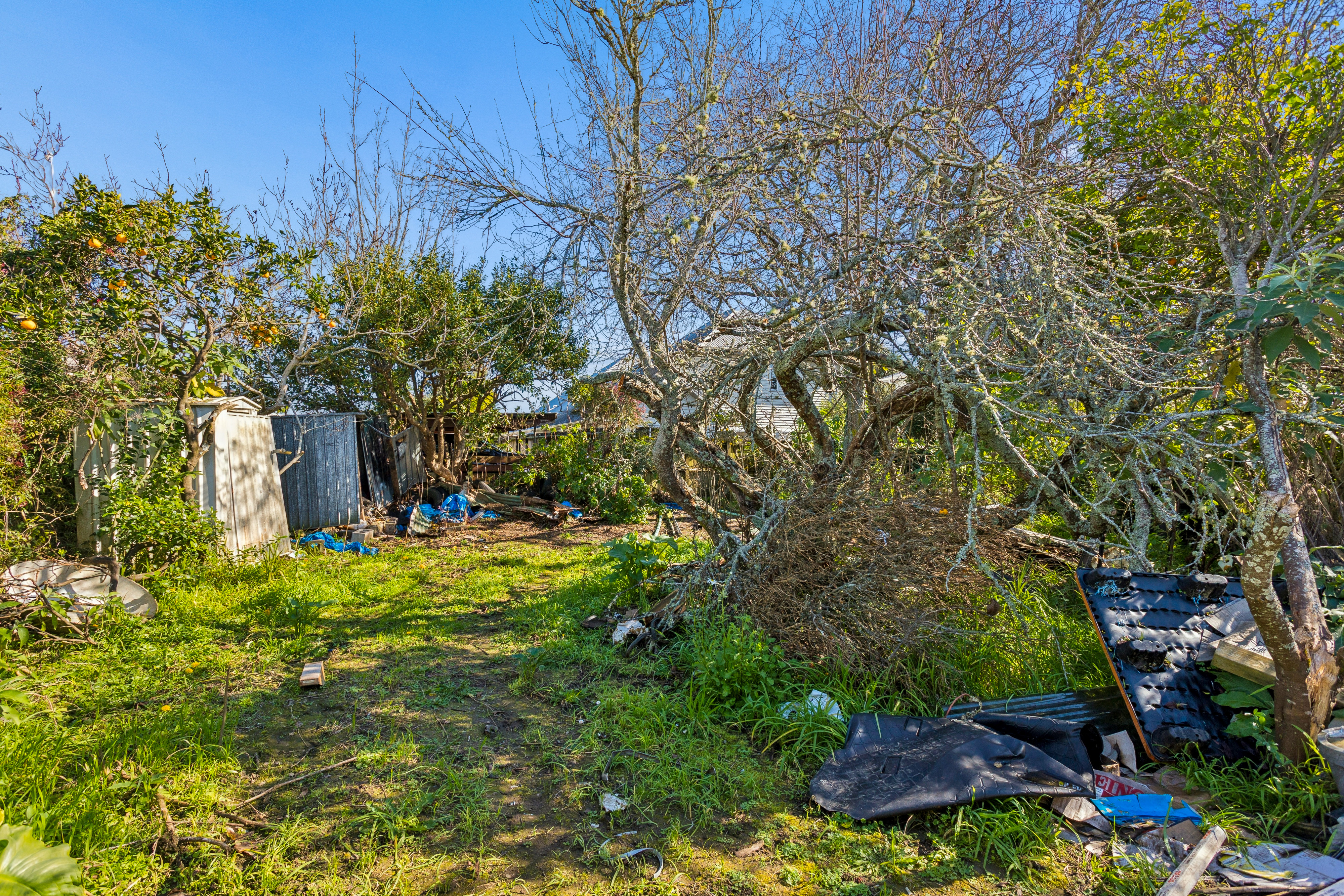 20 Holly Street, Avondale