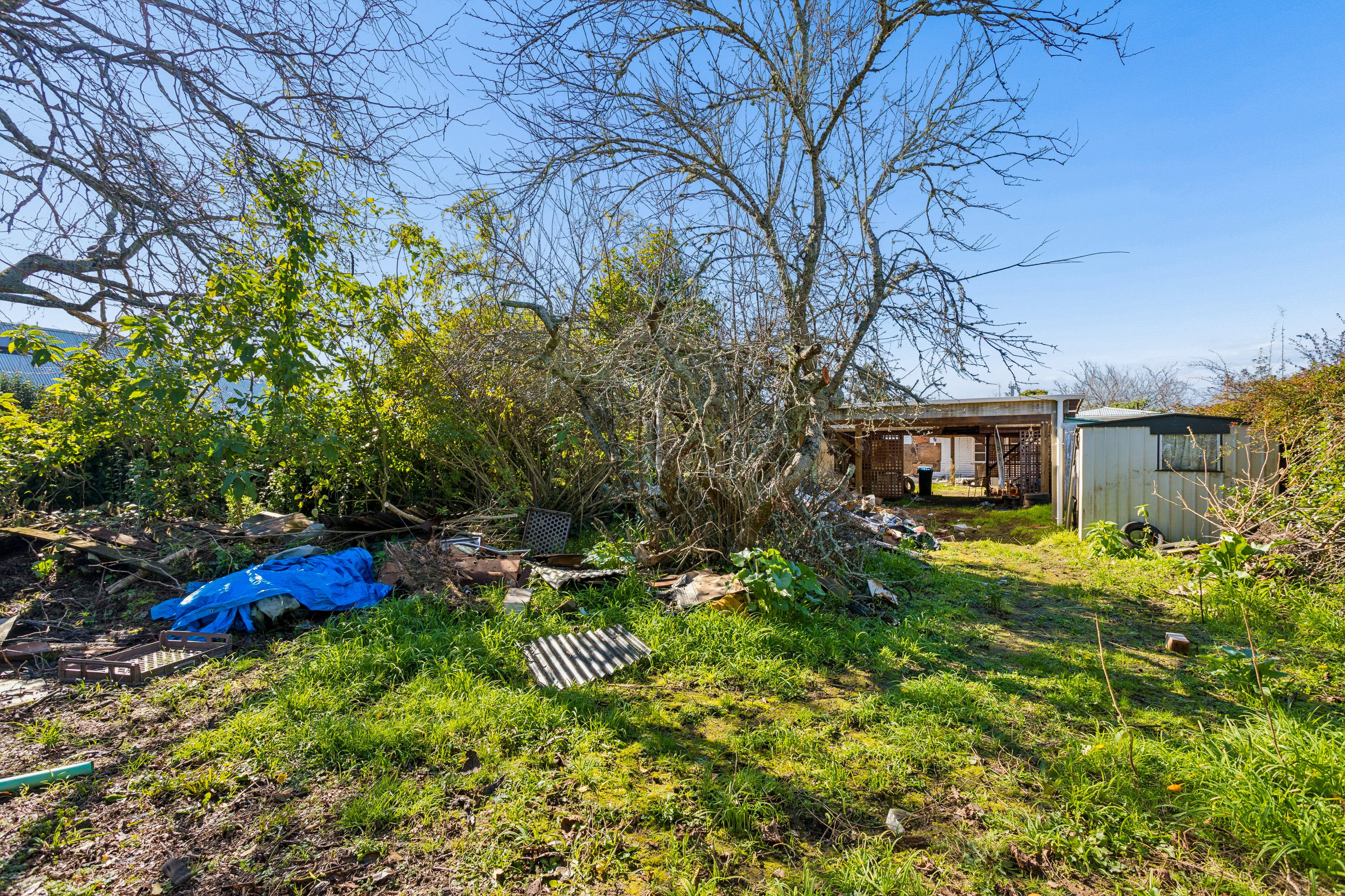 20 Holly Street, Avondale