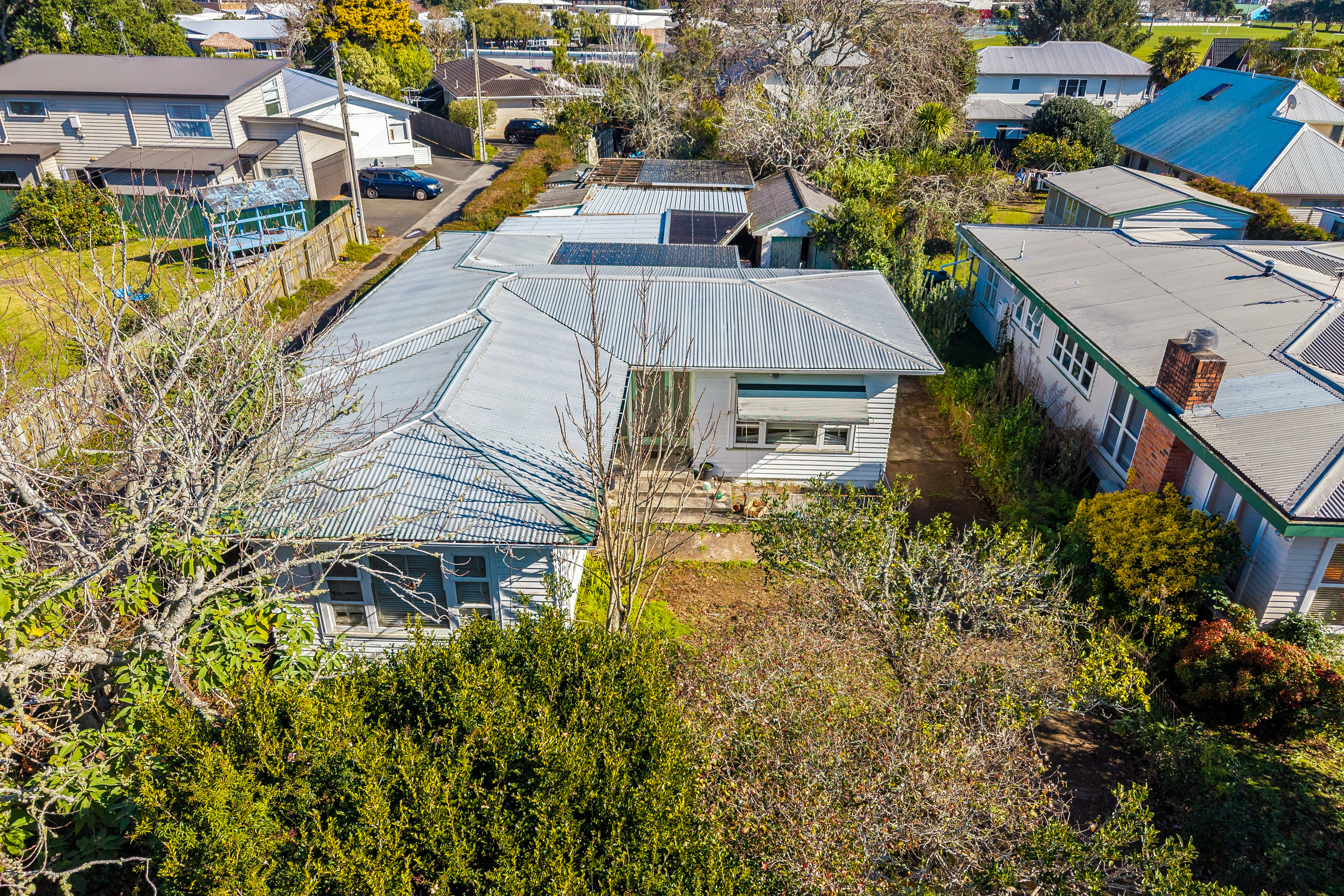20 Holly Street, Avondale