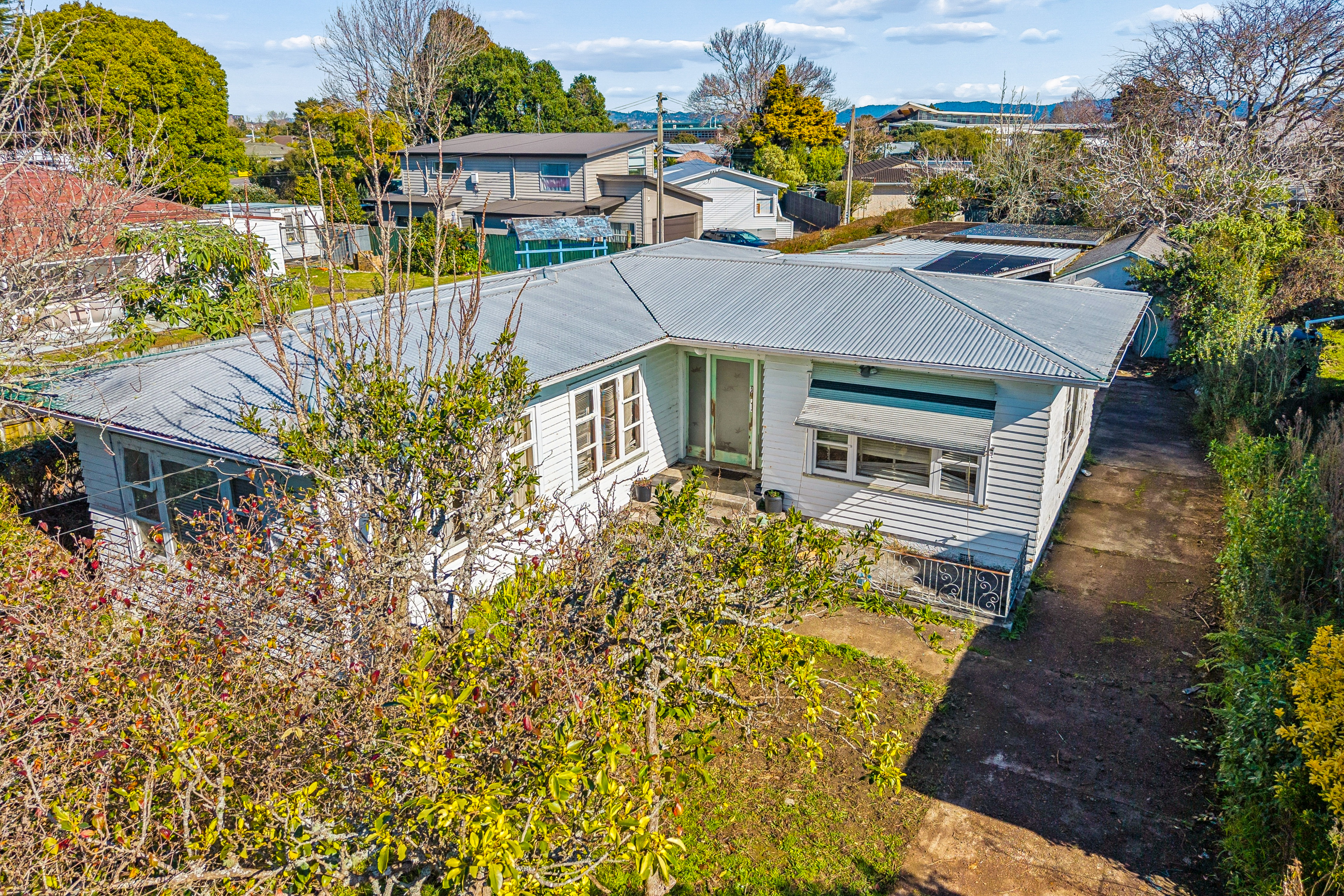 20 Holly Street, Avondale