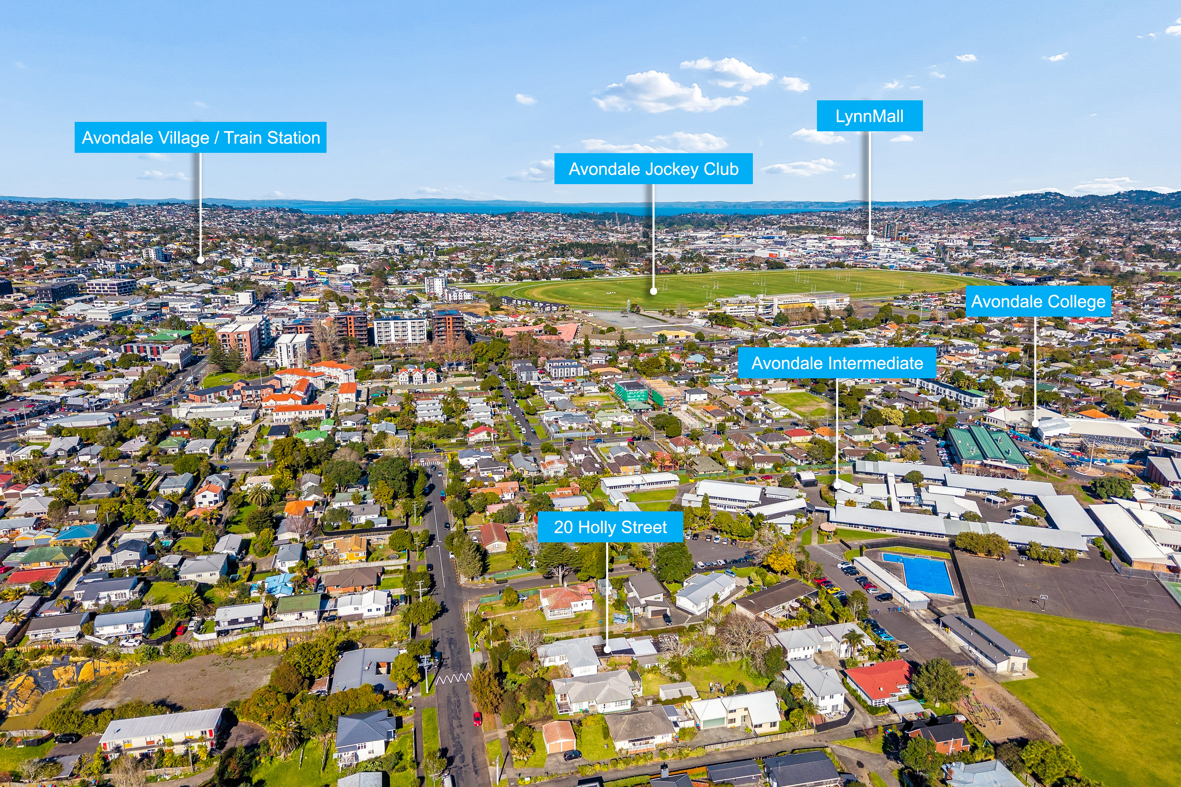 20 Holly Street, Avondale