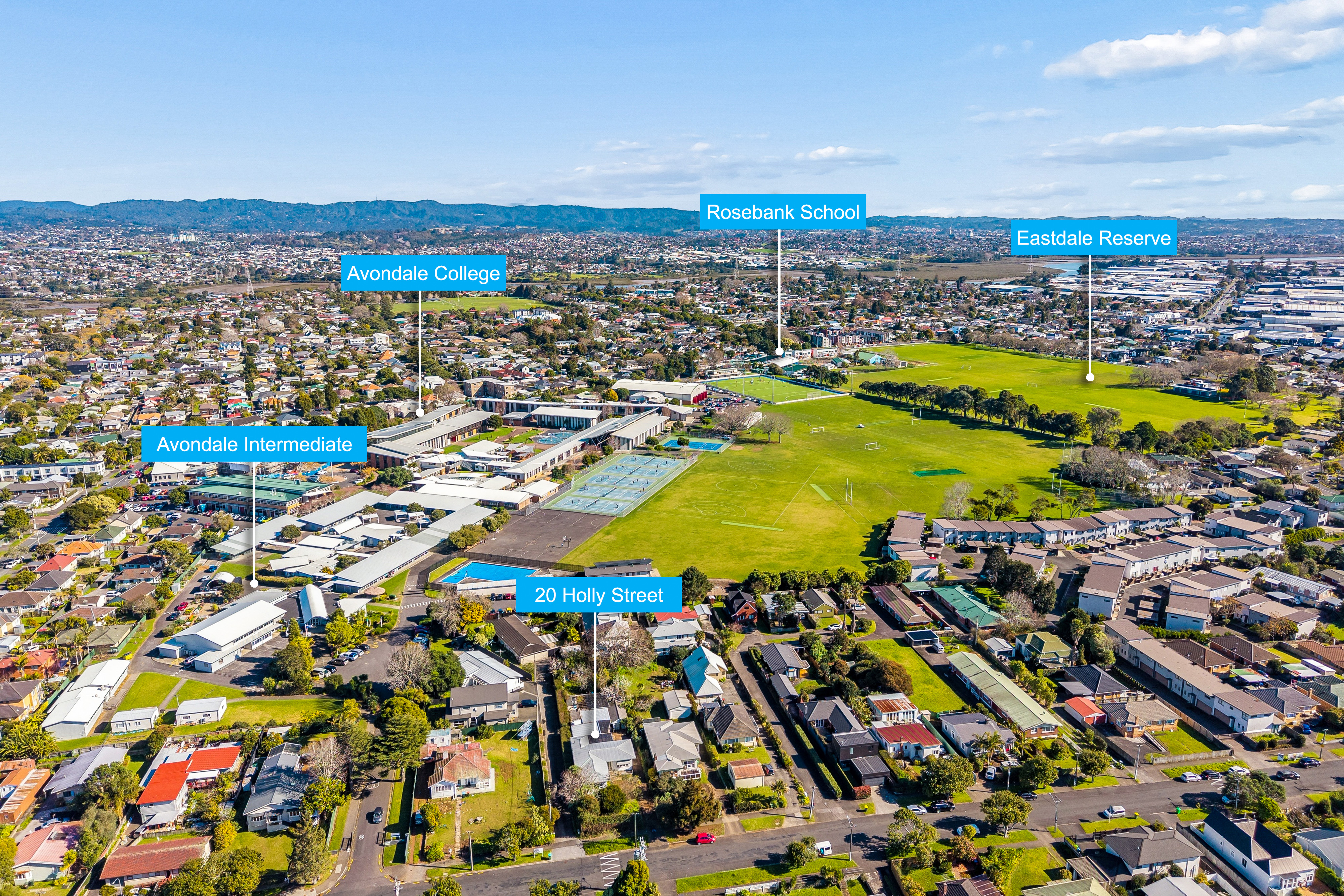 20 Holly Street, Avondale