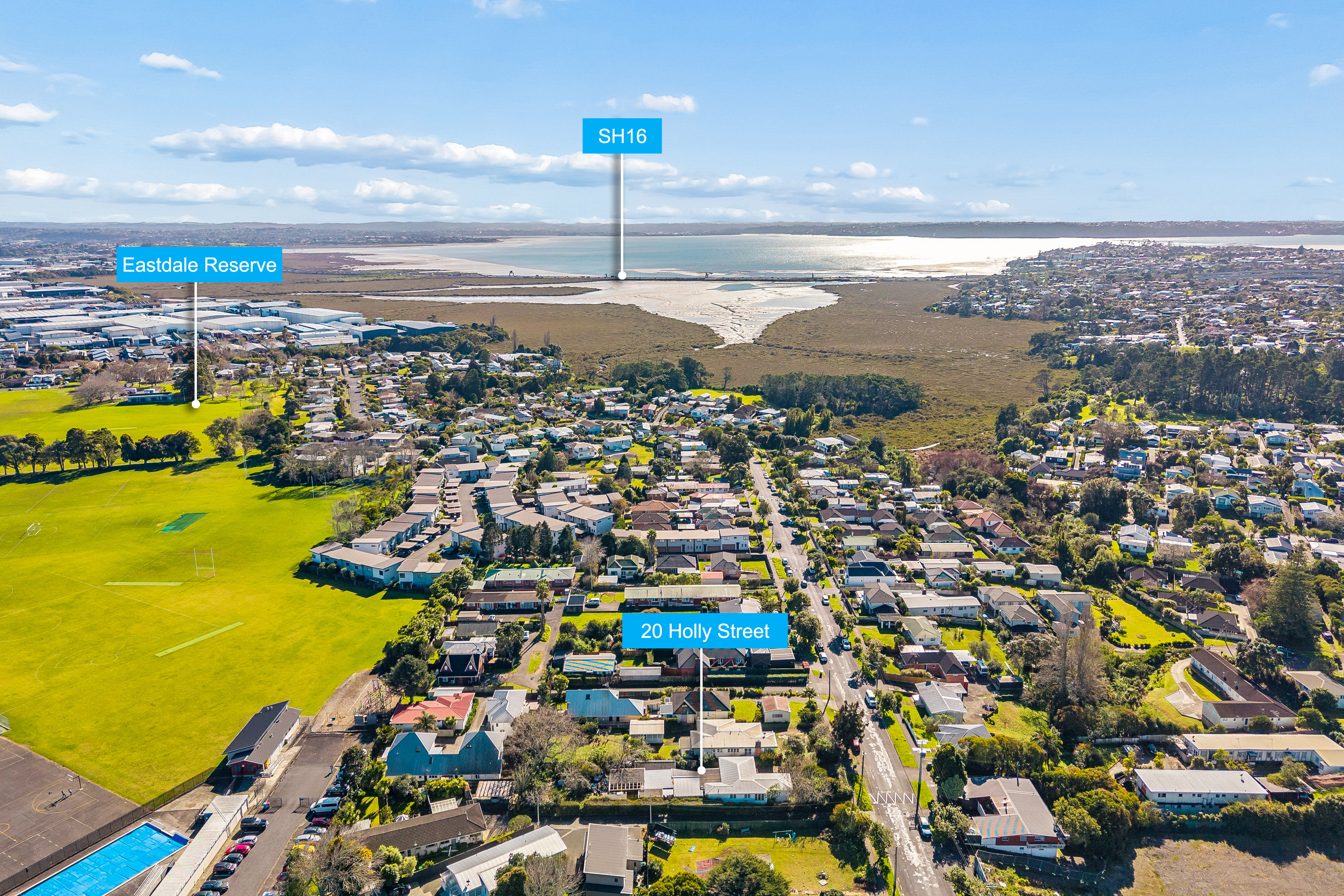 20 Holly Street, Avondale