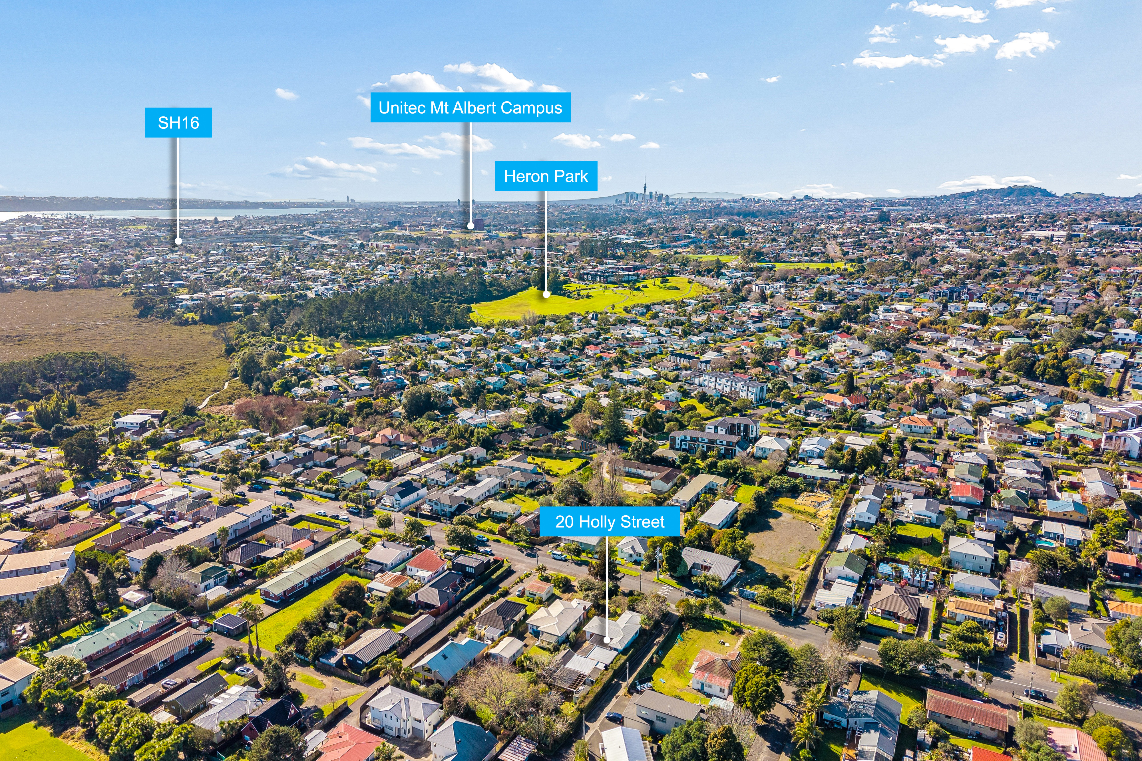 20 Holly Street, Avondale