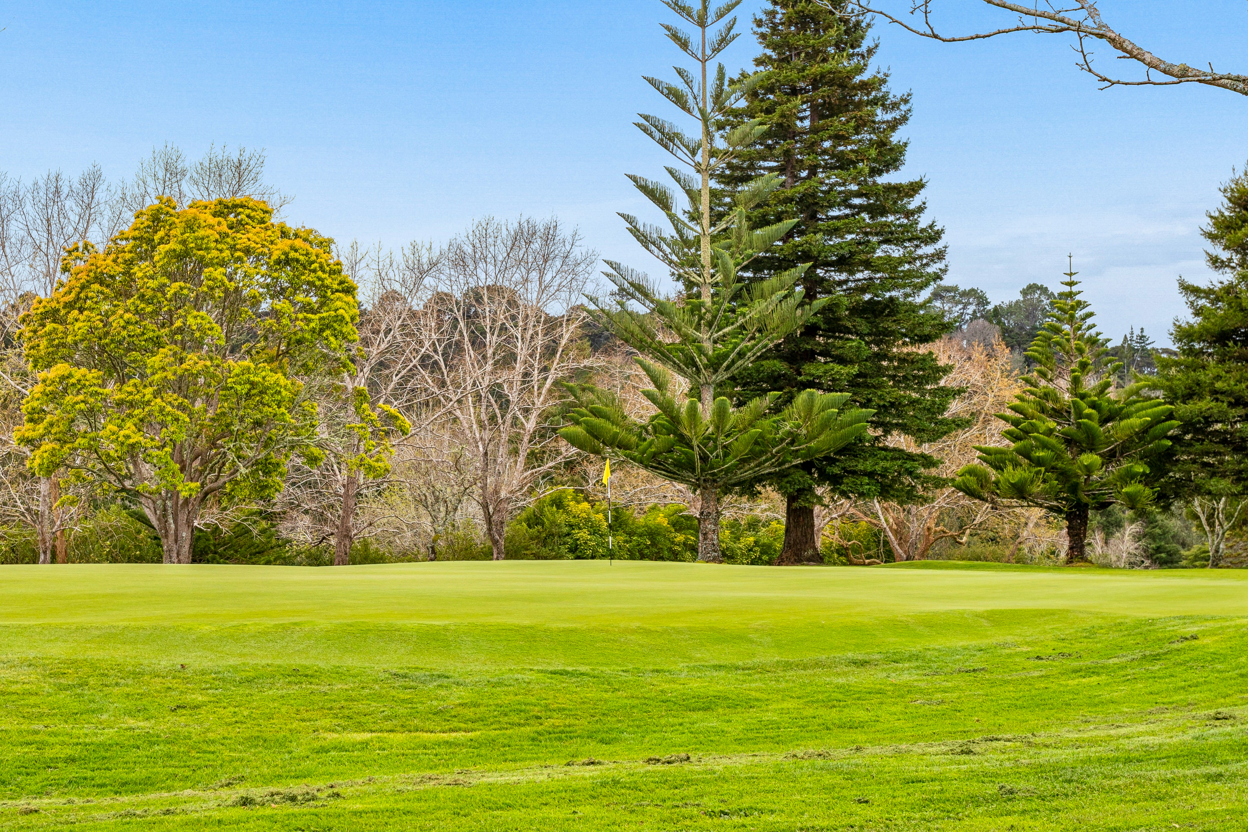 26 Redlands Grove, Swanson