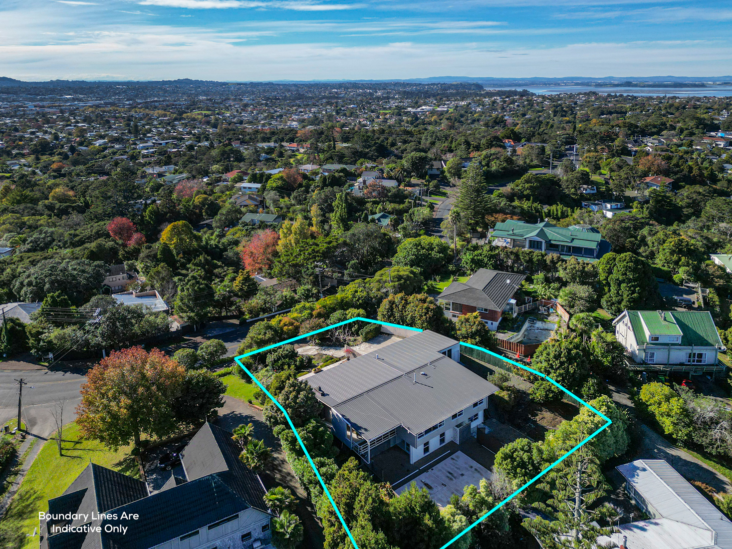 71 Pleasant Road, Glen Eden