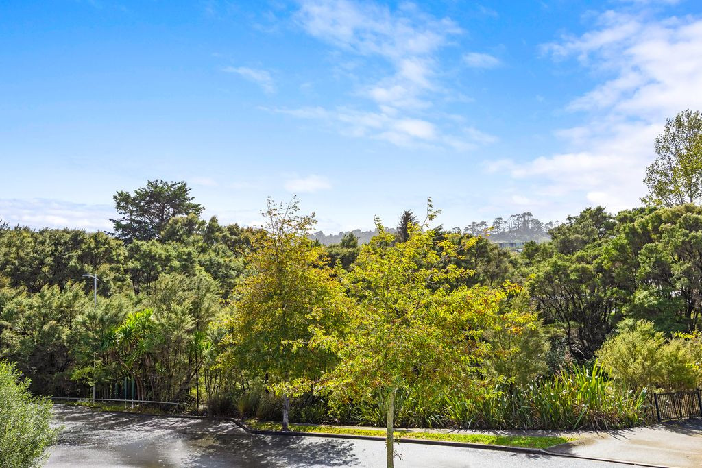 17 Korihi Drive, Swanson