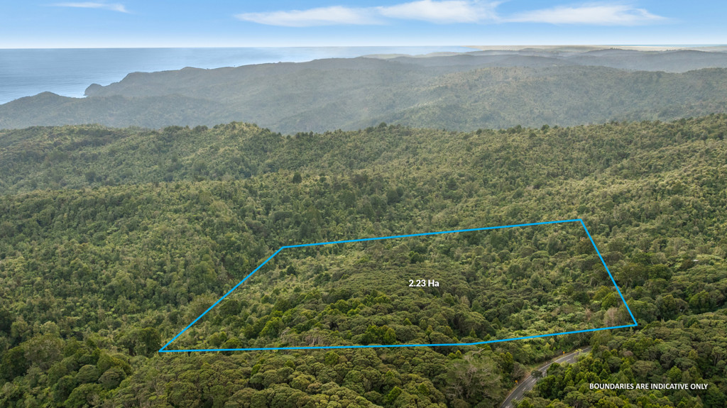254 Piha Road, Piha