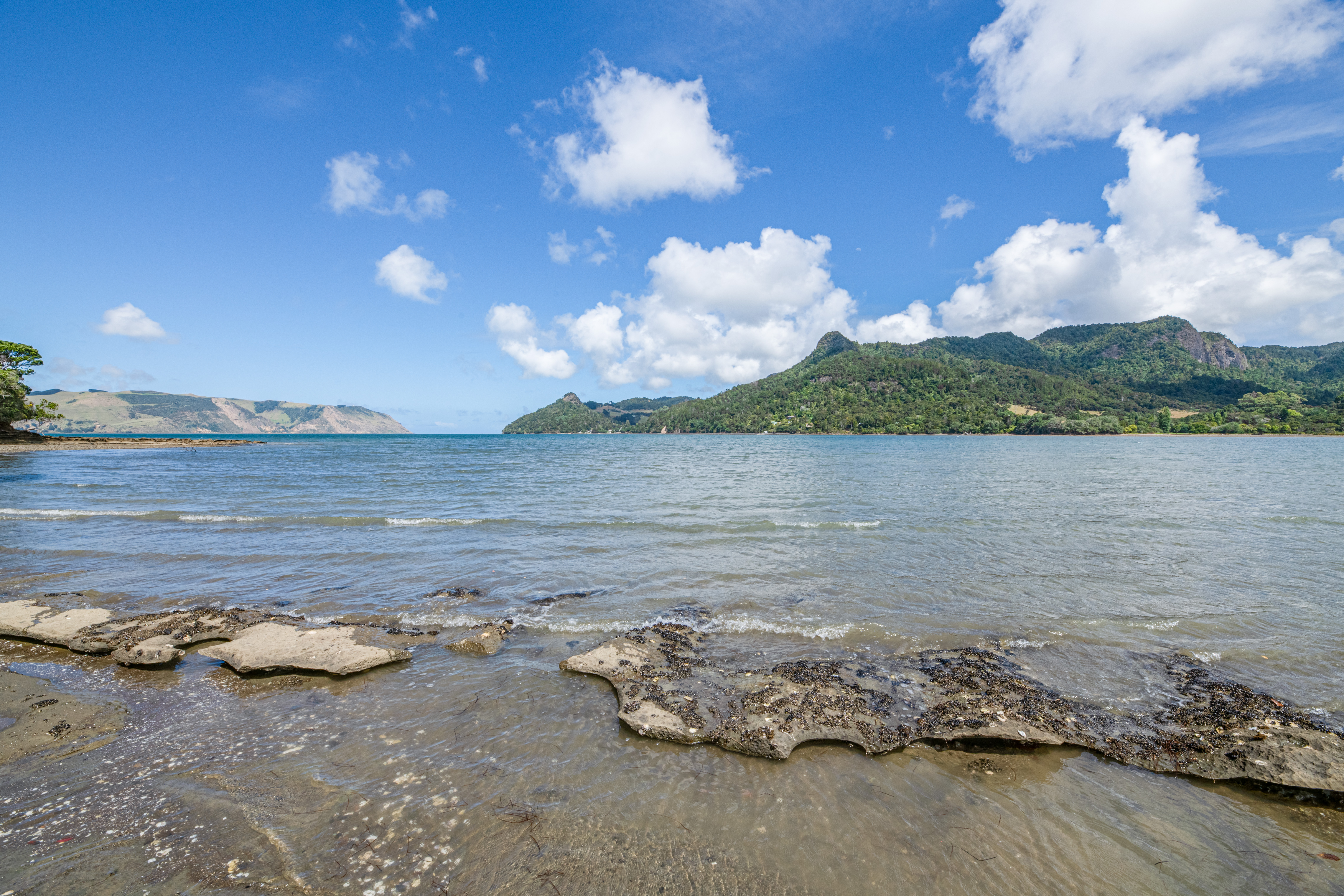 32 Foster Avenue, Huia