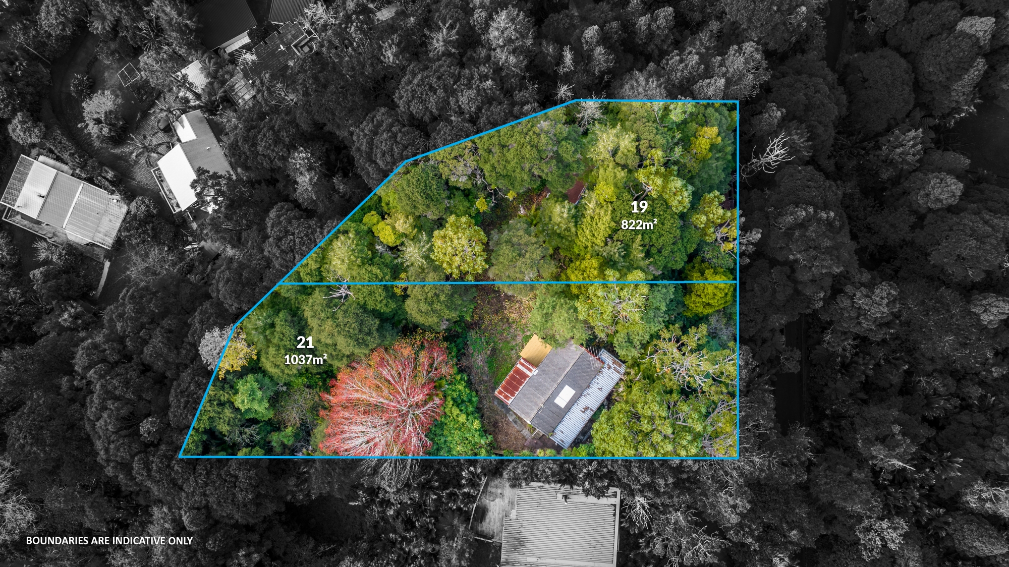 19 & 21 Paturoa Road, Titirangi