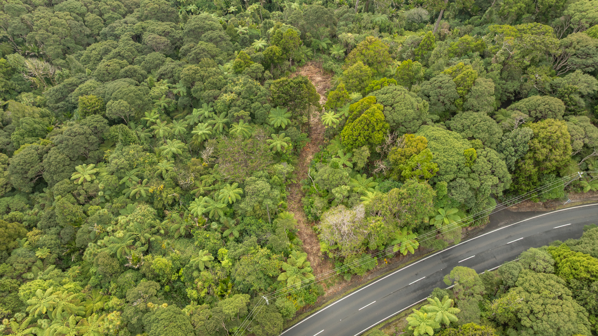254 Piha Road, Piha