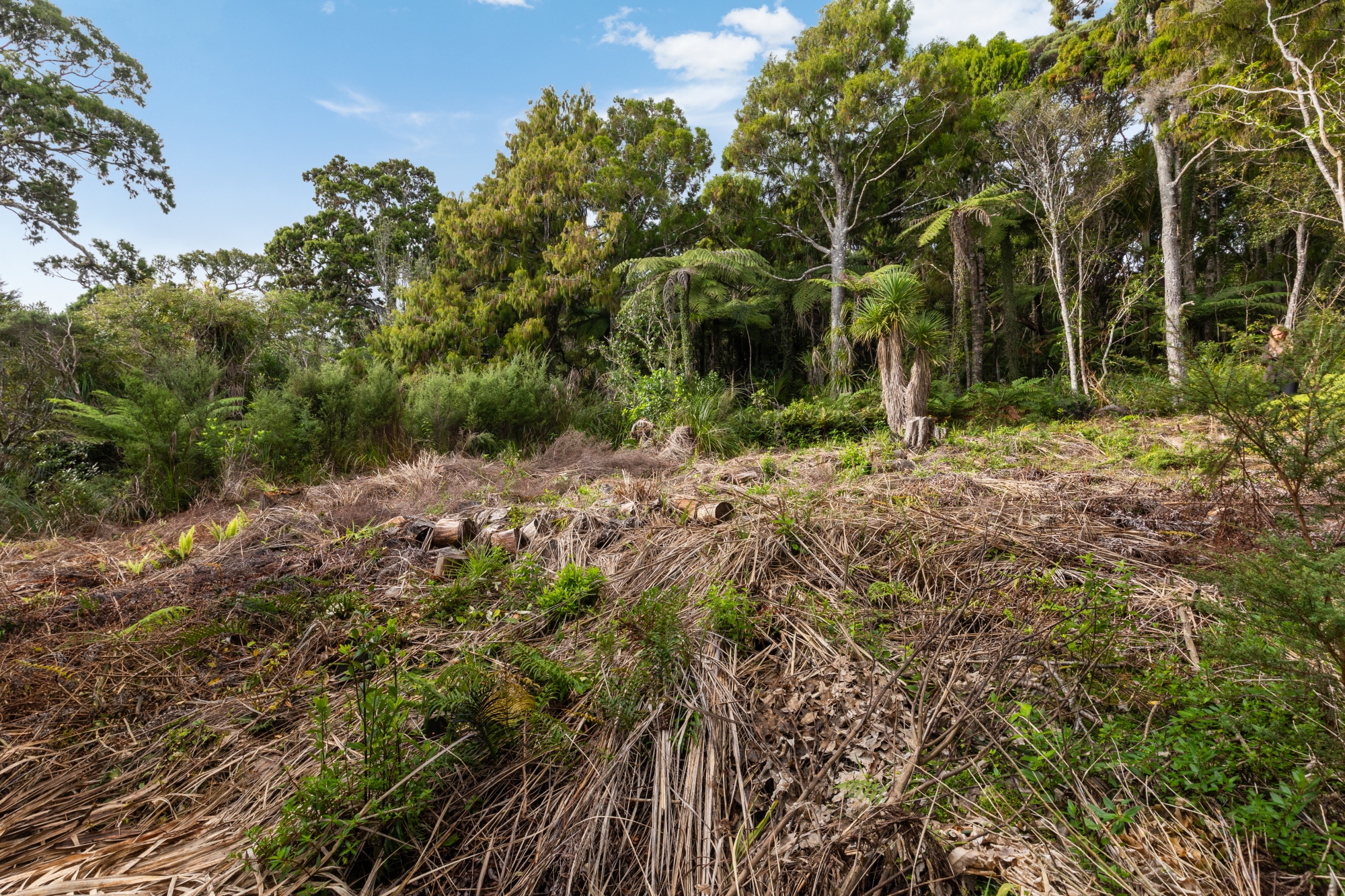 254 Piha Road, Piha