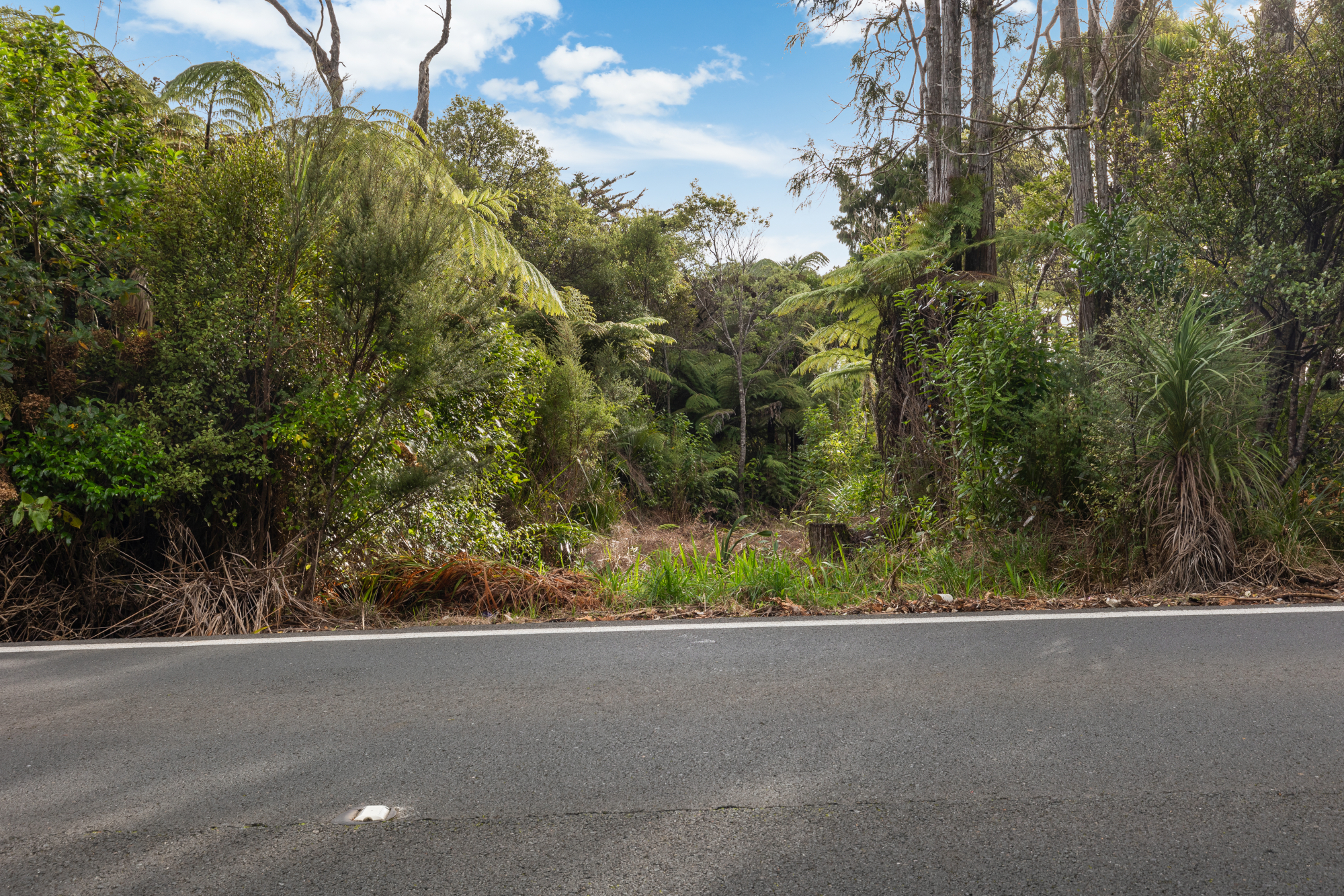 254 Piha Road, Piha